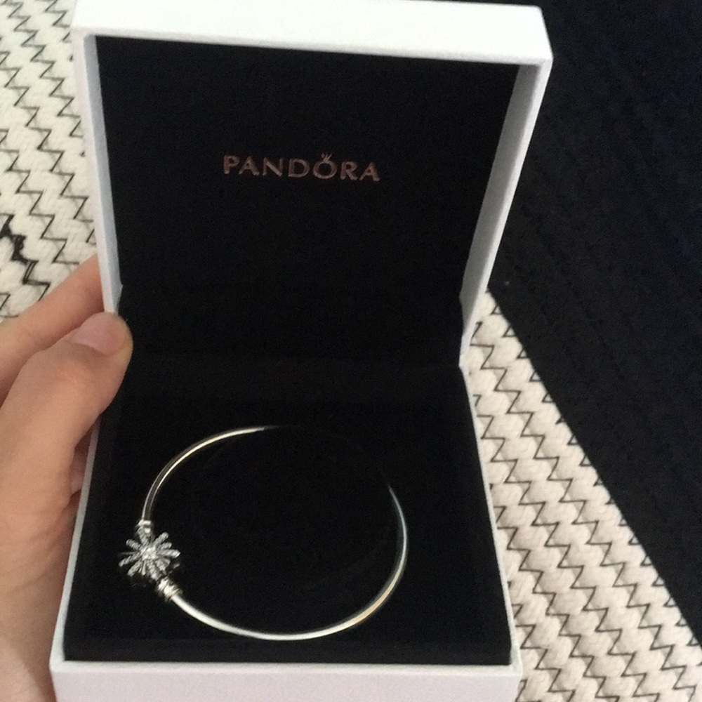 Pandora Bracelet